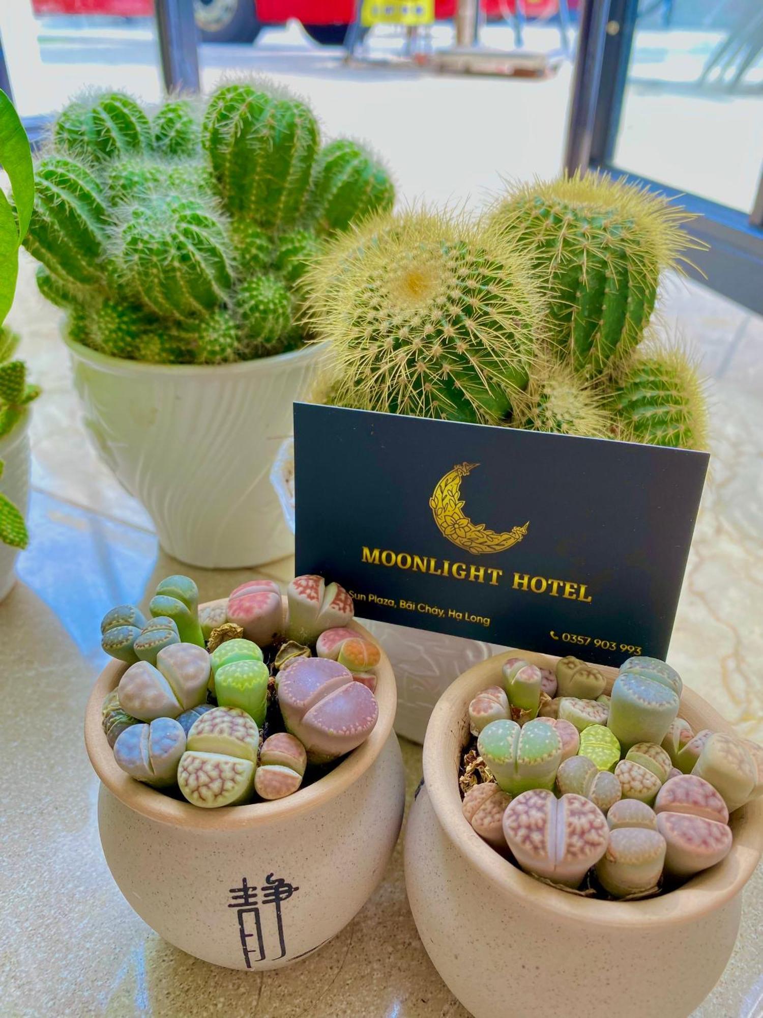 הלונג Moonlight Hotel מראה חיצוני תמונה